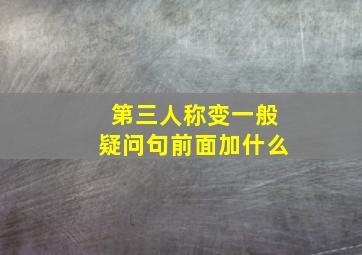 第三人称变一般疑问句前面加什么