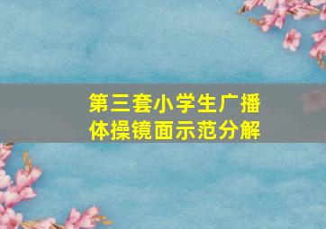 第三套小学生广播体操镜面示范分解