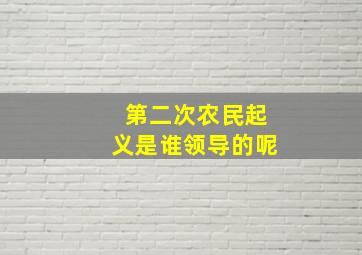 第二次农民起义是谁领导的呢