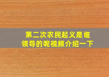 第二次农民起义是谁领导的呢视频介绍一下