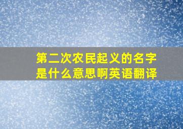 第二次农民起义的名字是什么意思啊英语翻译