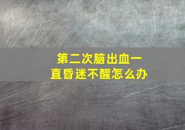 第二次脑出血一直昏迷不醒怎么办