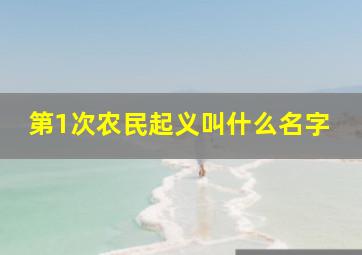 第1次农民起义叫什么名字