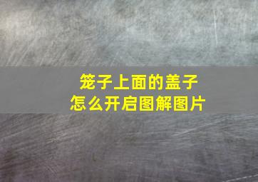 笼子上面的盖子怎么开启图解图片