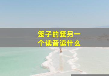 笼子的笼另一个读音读什么