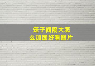 笼子间隔大怎么加固好看图片