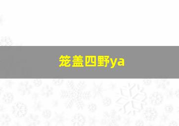 笼盖四野ya