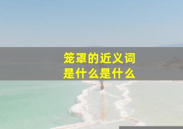 笼罩的近义词是什么是什么