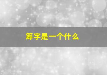 筹字是一个什么