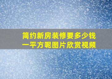 简约新房装修要多少钱一平方呢图片欣赏视频