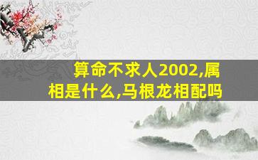 算命不求人2002,属相是什么,马根龙相配吗