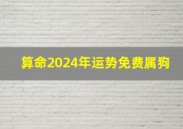 算命2024年运势免费属狗