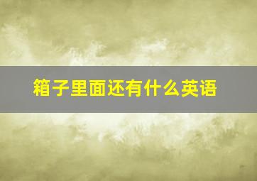 箱子里面还有什么英语