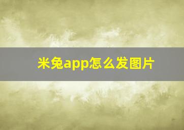 米兔app怎么发图片