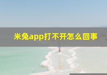 米兔app打不开怎么回事