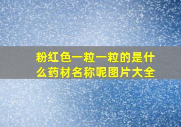 粉红色一粒一粒的是什么药材名称呢图片大全