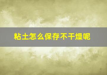 粘土怎么保存不干燥呢