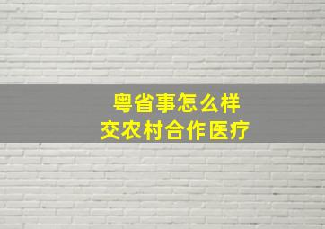 粤省事怎么样交农村合作医疗