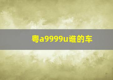 粤a9999u谁的车