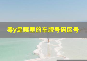 粤y是哪里的车牌号码区号