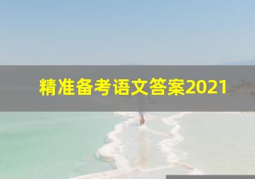 精准备考语文答案2021