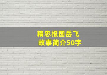 精忠报国岳飞故事简介50字