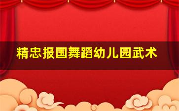 精忠报国舞蹈幼儿园武术