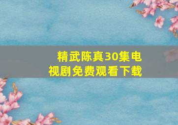 精武陈真30集电视剧免费观看下载