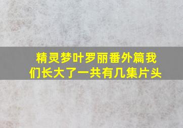 精灵梦叶罗丽番外篇我们长大了一共有几集片头