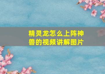 精灵龙怎么上阵神兽的视频讲解图片