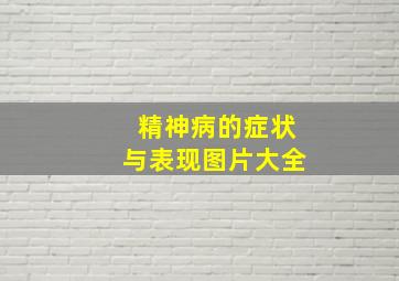 精神病的症状与表现图片大全