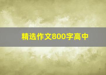 精选作文800字高中