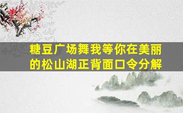 糖豆广场舞我等你在美丽的松山湖正背面口令分解