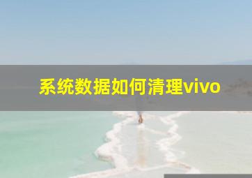 系统数据如何清理vivo