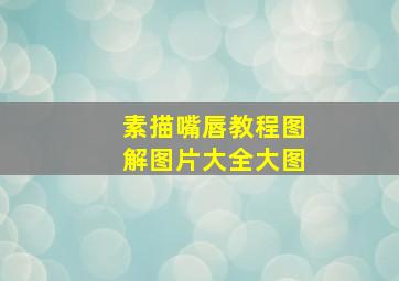 素描嘴唇教程图解图片大全大图