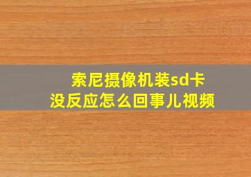 索尼摄像机装sd卡没反应怎么回事儿视频