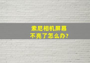 索尼相机屏幕不亮了怎么办?