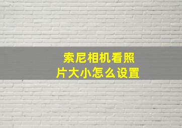 索尼相机看照片大小怎么设置