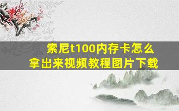 索尼t100内存卡怎么拿出来视频教程图片下载