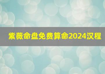 紫薇命盘免费算命2024汉程