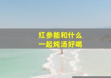 红参能和什么一起炖汤好喝