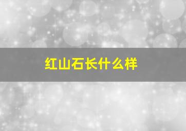 红山石长什么样