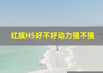 红旗H5好不好动力强不强