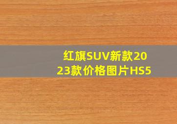 红旗SUV新款2023款价格图片HS5