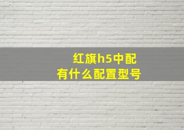 红旗h5中配有什么配置型号