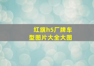 红旗h5厂牌车型图片大全大图