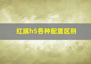 红旗h5各种配置区别