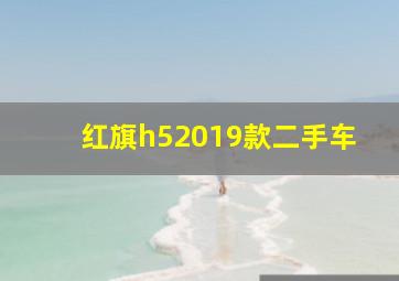 红旗h52019款二手车