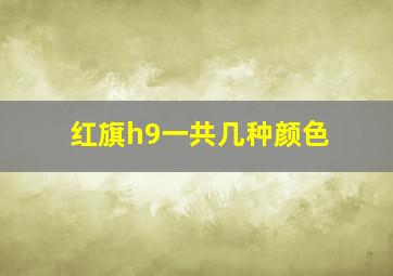 红旗h9一共几种颜色