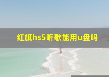 红旗hs5听歌能用u盘吗